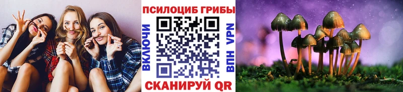гидра ссылка  Владикавказ  Псилоцибиновые грибы MAGIC MUSHROOMS 